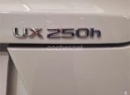 LEXUS UX 2.0 250h Business Navigation